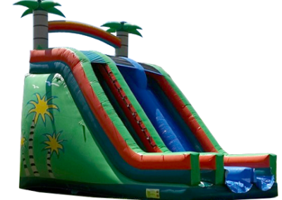 Toboggan Palmier
