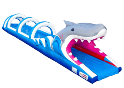 Ventriglisse Requin