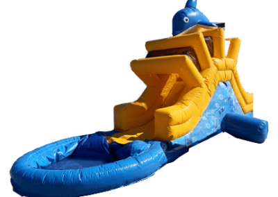 Toboggan Dauphin