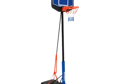 Panier de basket